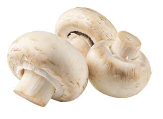 Fresh white button mushrooms isolated on black background for cooking and healthy recipes use