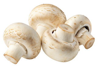 Fototapeta premium Fresh white mushrooms arranged against a clean background for culinary ingredient photography