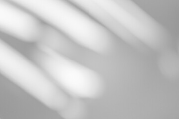 Wall interior background, studio and backdrops show products.with shadow from window color white and grey. background for text insertion and presentation product	