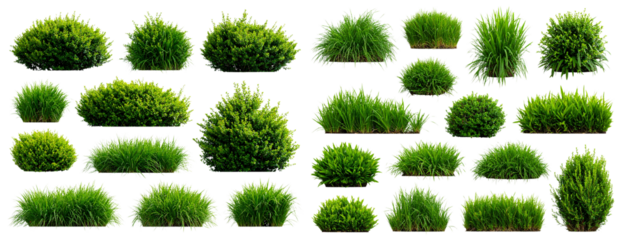 Scattered Grass Bushes in Varied Shapes and Sizes Transparent Background PNG