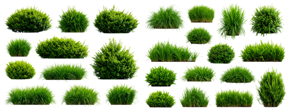 Scattered Grass Bushes in Varied Shapes and Sizes Transparent Background PNG
