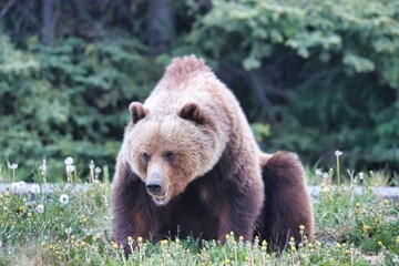 Yukon Territories, Canada