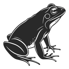 Isolated Black Silhouette of a Frog on White Background
