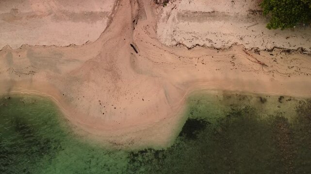Curved sand cusp meets shallow reef water on Pangubatan coast of Samal Island with pale beach texture driftwood marks and green coral flats
