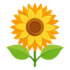 sunflower isolated on white background