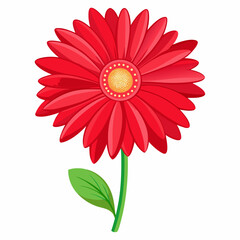 red gerbera flower