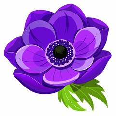 pink flower isolated on white background