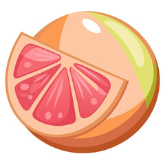 vector illustration of a slice of grapefruit