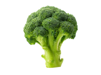 Fresh green broccoli floret isolated on black background, On Transparent Background, Png
