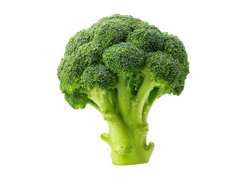 Fresh green broccoli floret isolated on black background, On Transparent Background, Png