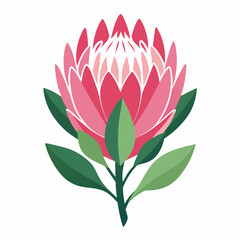 lotus flower vector illustration