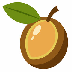 vector illustration of an orange fruit