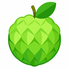 vector illustration of an apple