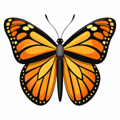 butterfly vector illustration