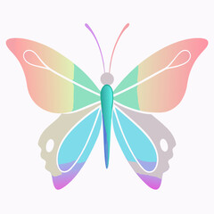 butterfly vector illustration
