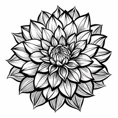 black and white flower