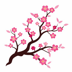 pink cherry blossom