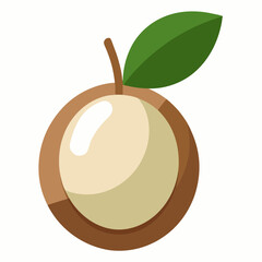 vector illustration of an apple
