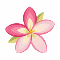vector illustration of pink flower