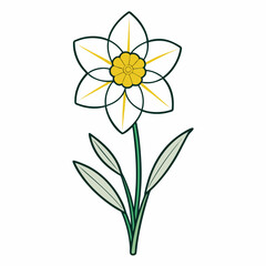 yellow flower on white background