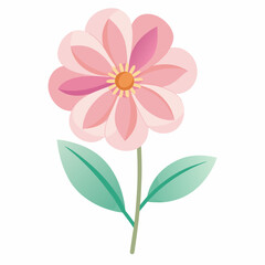 pink flower isolated on white background