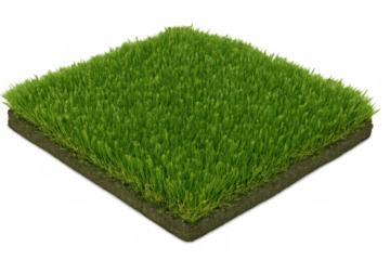 Patch of dense green grass growing on soil section with transparent background, ideal for architectural visualization