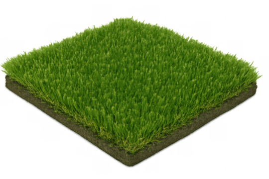 Patch of dense green grass growing on soil section with transparent background, ideal for architectural visualization