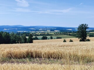 Juli im Erzgebirge 