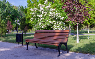 Fototapeta premium Wooden bench sits in front of a tree with white flowers. The bench is empty and the park is quiet