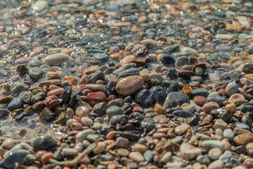 Rocky beach with a lot of rocks scattered around. The rocks are of different sizes and colors,...