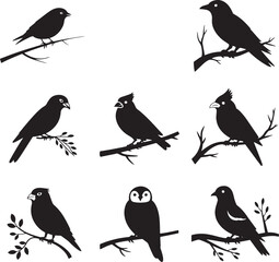 Black bird silhouettes perched on branches nature