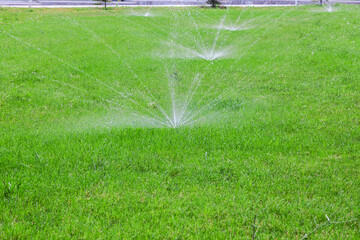 Lawn is being watered by sprinklers. The grass is green and lush. The sprinklers are spread out across the lawn, with some closer to the foreground and others further back