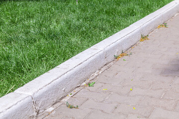 Curb near the green lawn. Green trimmed grass on the lawn. Green Grass Grows Near Black Asphalt,...