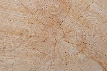 Naklejka premium The image is of a piece of wood with a large hole in the center