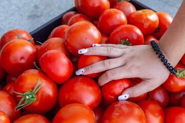 woman's hand takes tomato from a box of tomatoes in supermarket.