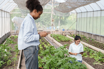 Multiracial teenage students exploring organic greenhouse farm using tablets to study modern agricultural techniques surrounded by green vegetables for classroom project and digital learning