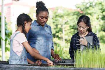 Diverse group of students with african teacher learning plant science through organic gardening using tablet for research while observing seedlings growing in soil bed during outdoor agriculture class
