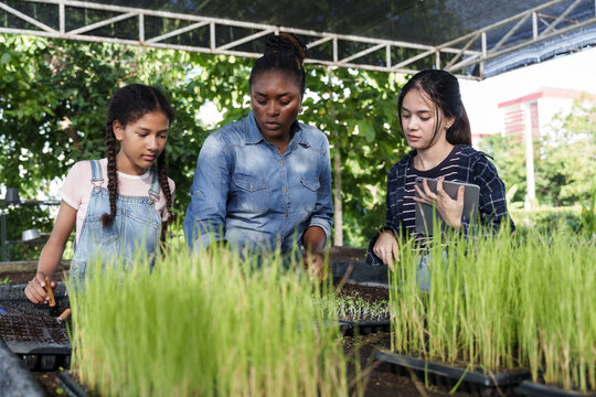 Agriculture teacher guiding teenage students of diverse backgrounds during school farming activity, observing organic seedlings and recording growth data in collaborative outdoor classroom - Powered by Adobe