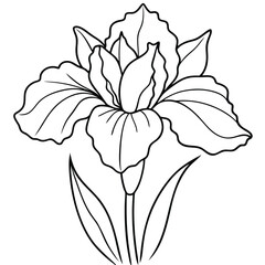 Iris flower outline vector illustration