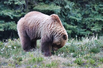 Yukon Territories, Canada