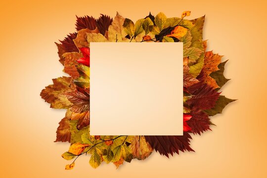 Fototapeta Blank square panel is being shown in flat design against warm orange gradient with autumn wreath