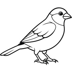 Obraz premium finch bird outline illustration