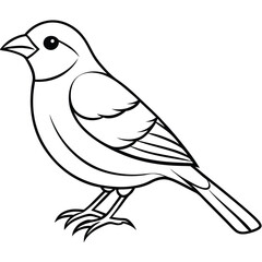 Obraz premium finch bird outline illustration