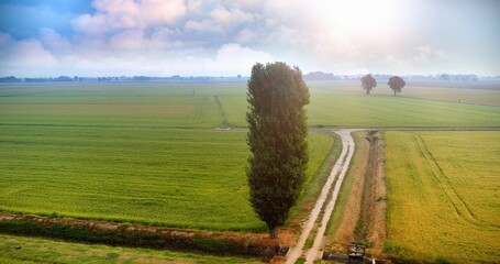 Little road between grass field