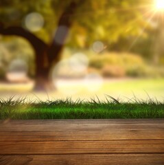 Wooden floor against nature scene