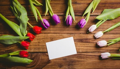 Blank white card is sitting on wooden tabletop in vector style, flanked by colorful tulip stems