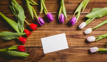  Blank white card is sitting on wooden tabletop in vector style, flanked by colorful tulip stems © vectorfusionart