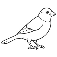 Obraz premium finch bird outline illustration