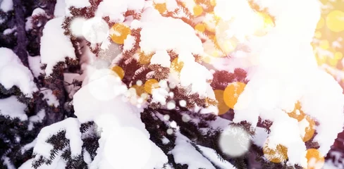 Schilderijen op glas Snow covered trees during winter © vectorfusionart