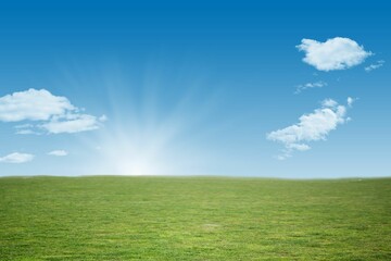 Grassy meadow is stretching under rising sun at horizon in flat design with glowing rays, clouds